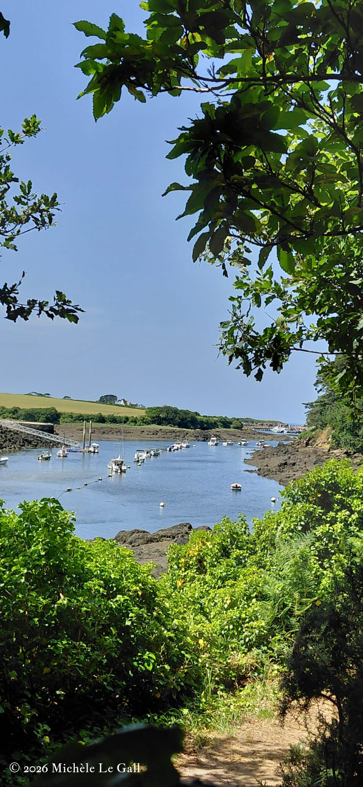IMG-20260614-WA0008
