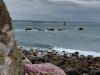 IMG-20260518-WA0006
