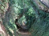 IMG-20260614-WA0006