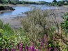 IMG-20260614-WA0007