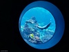 IMG-20260907-WA0004