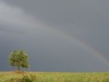 1112_Italie-Toscane-Ciel-d'orage - 1 point