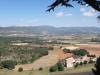 1213_Montée-du-Ventoux_Champs-de-lavande