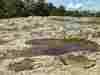 807_Corse-Aitone-Evisa